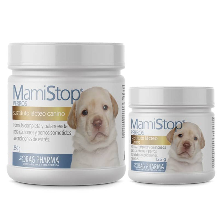 MAMISTOP PERROS POTE 250G
