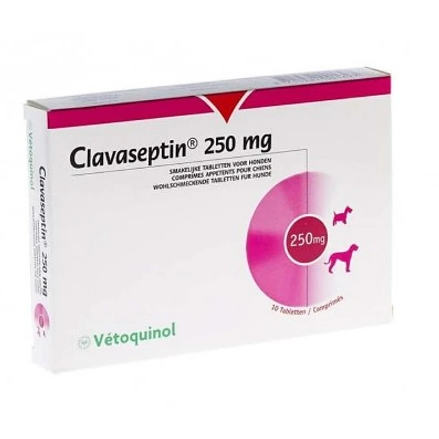 CLAVASEPTIN 250 MG 10 COMPRIMIDOS