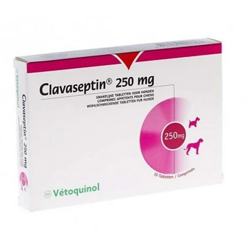 CLAVASEPTIN 250 MG 10 COMPRIMIDOS
